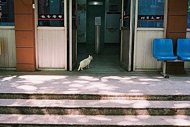 《异度神剑3》新角色“卢迪”  7月29日上线